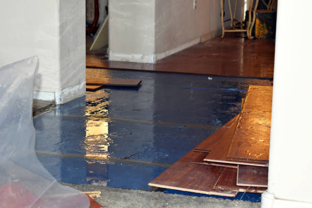 Professional Water Extraction technician working in Raywood, TX